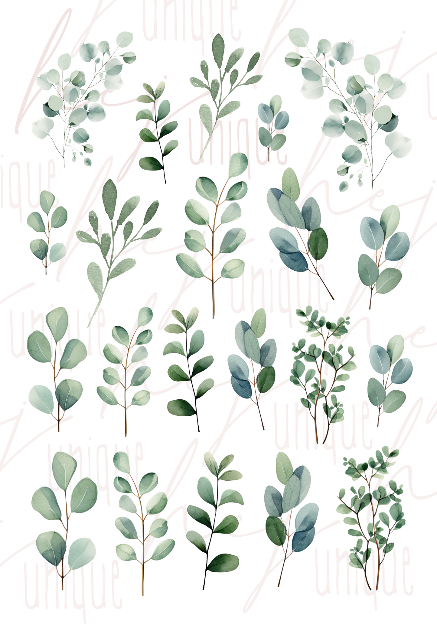 Rub-On Bogen „Eukalyptus"