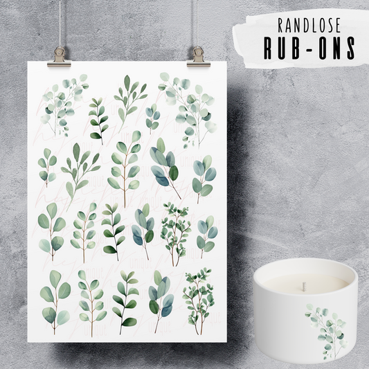 Rub-On Bogen „Eukalyptus"